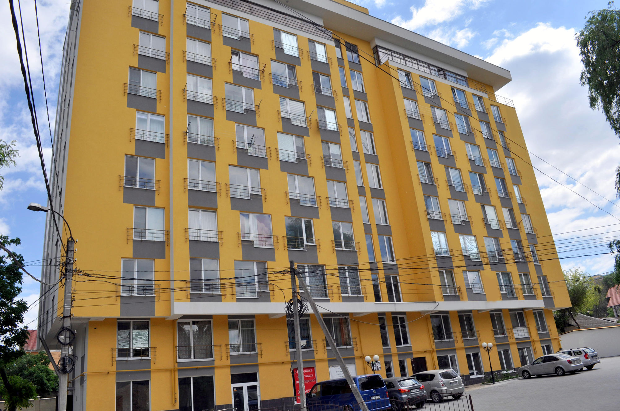 Botanic Park photo 1